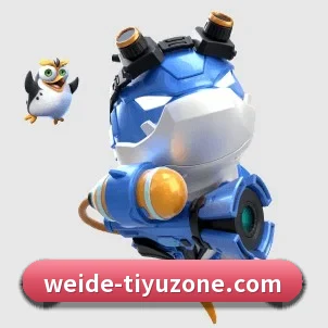 国际化进程 - WEIDESPORT
